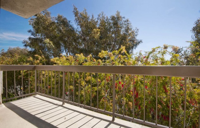 Balcony view at Rose Apartments, California