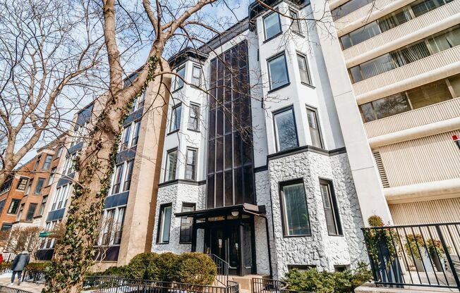 Renovated Gold Coast Apartments