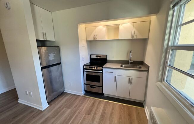 Studio, 1 bath, 374 sqft, $1,150, Unit 302