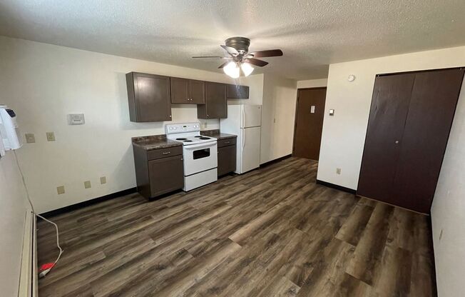 Studio, 1 bath, 200 sqft, $590, Unit 2526-11-B
