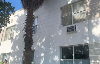 Studio, 1 bath, $1,715, Unit 7