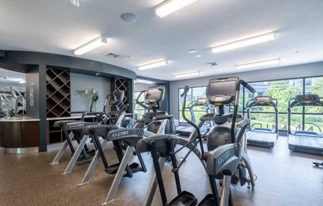 A gym with a row of treadmills and elliptical machines.