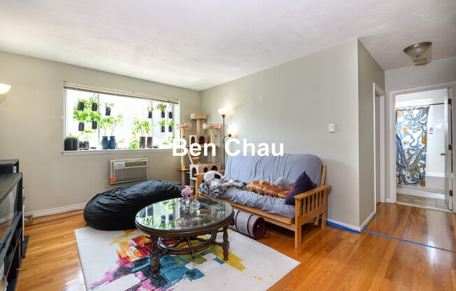 259 SUMMER ST