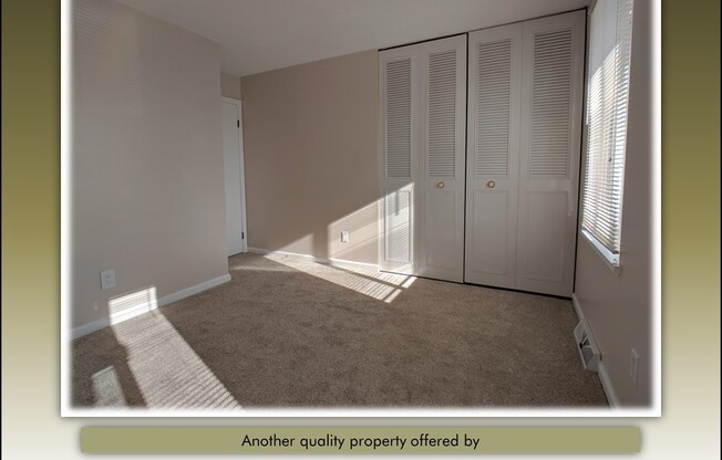 2 beds, 1 bath, $1,345