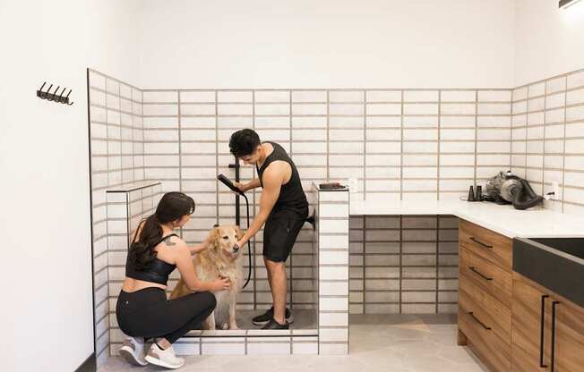 A man and woman are grooming a dog in a bathroom.