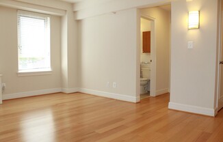 1 bed, 1 bath, 701 sqft, $2,650, Unit 509