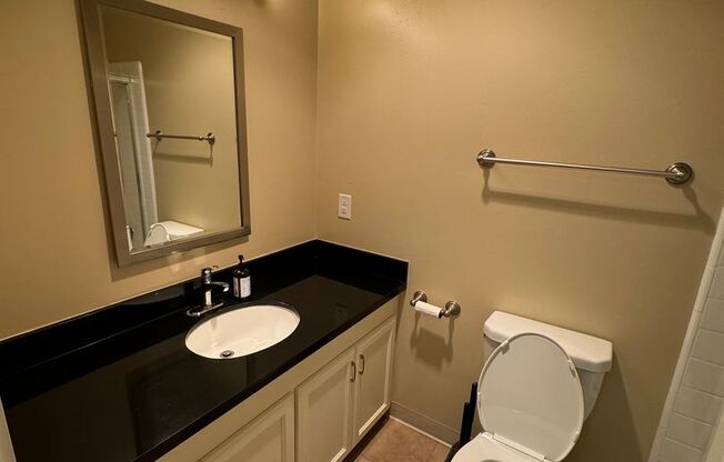 Studio, 1 bath, 360 sqft, $2,295