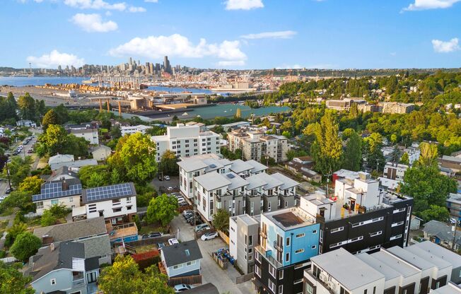 Studio, 1 bath, 295 sqft, $1,295, Unit 205