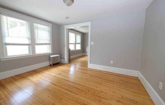 Studio, 1 bath, 380 sqft, $1,650, Unit 203