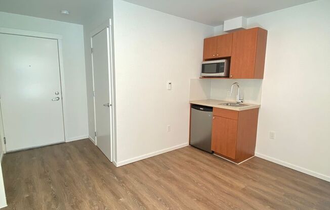 Studio, 1 bath, 175 sqft, $1,150, Unit 4215