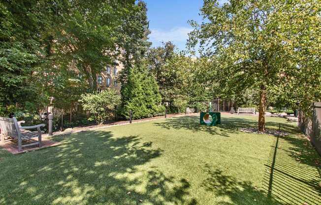 a large yard with trees and a park bench