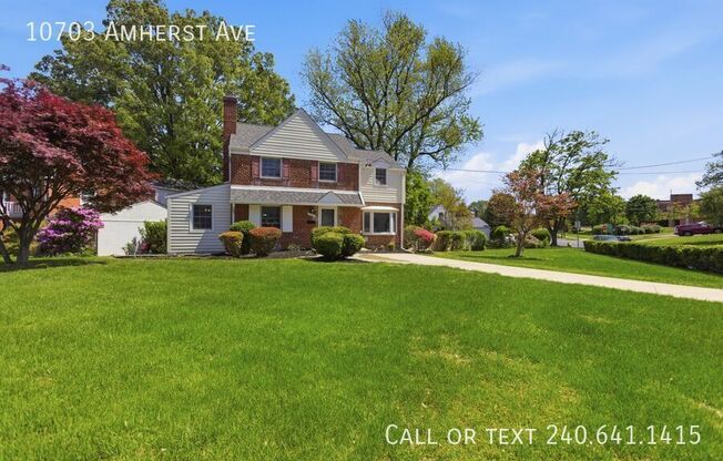 10703 AMHERST AVE