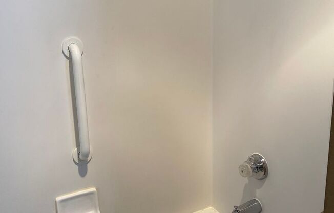 Studio, 1 bath, 462 sqft, $1,250, Unit 305