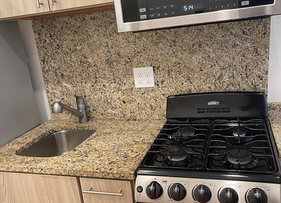 Studio, 1 bath, $1,495, Unit 15
