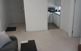 1 bed, 1 bath, 495 sqft, $2,600, Unit 305