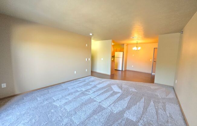 1 bed, 1 bath, 775 sqft, $975, Unit 202