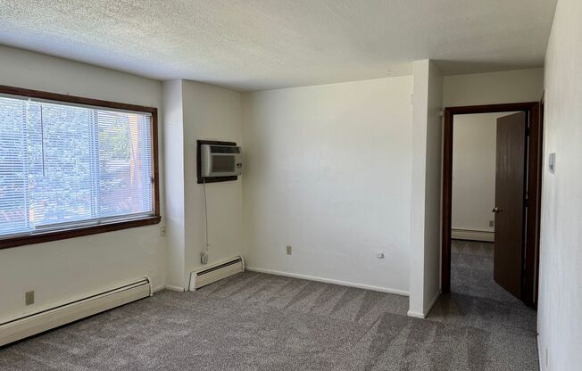 1 bed, 1 bath, 465 sqft, $600, Unit 1116-310