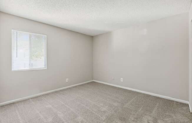an empty room with carpet and a window