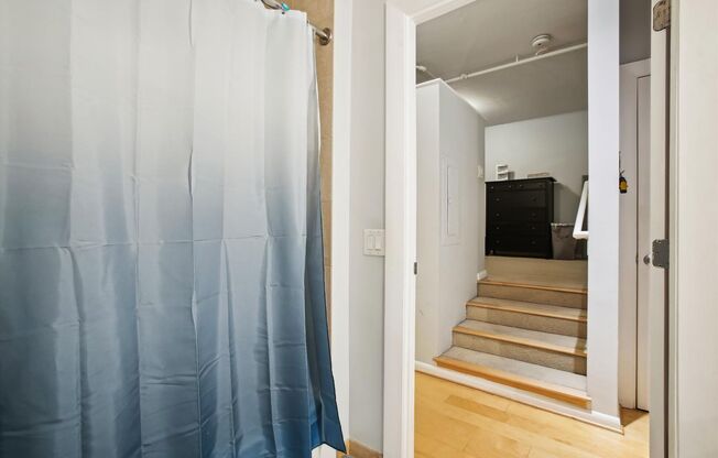 1 bed, 1 bath, $2,500