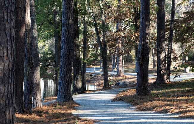 Walking Trail located at Venue at Carrolton in Carrolton, GA 30117