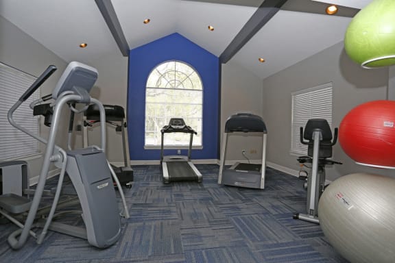 Fitness center- cardio machines