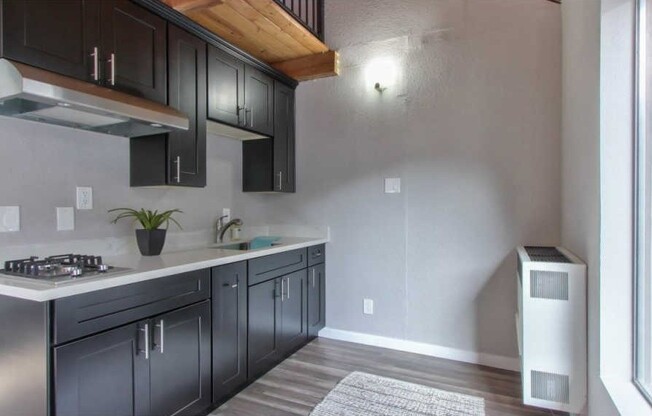 Studio, 1 bath, 800 sqft, $2,275, Unit B