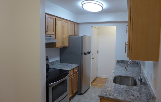 1 bed, 1 bath, 650 sqft, $1,450