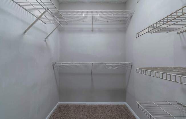 Empty white pantry with shelves and a carpeted floor. at Mill House at East Cobb, Marietta, 30067