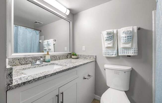Model bathroom at Oasis at Bayside Apartments in Largo, FL