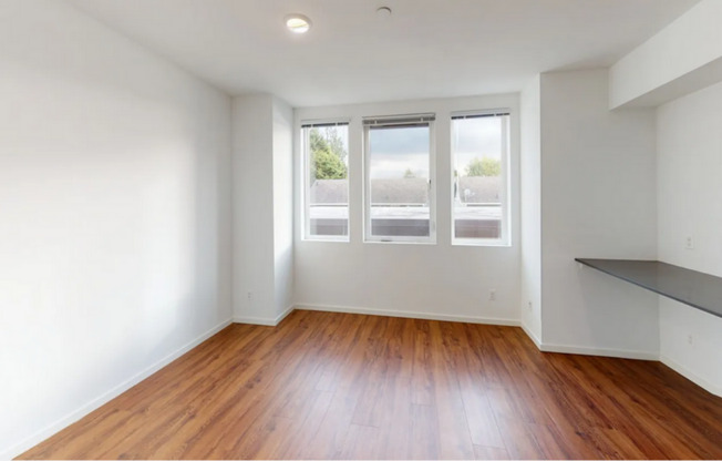 Studio, 1 bath, 229 sqft, $1,125, Unit 203