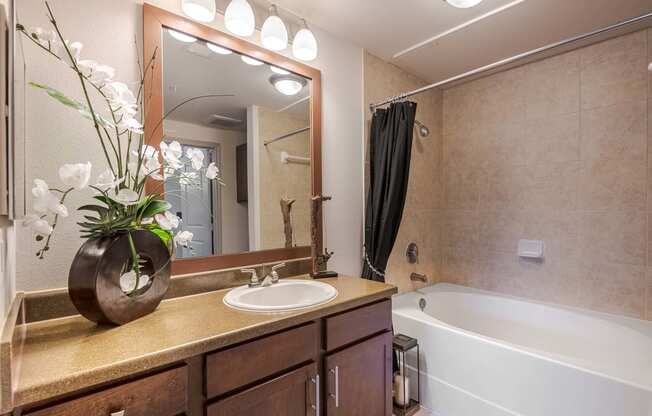 a bathroom with a sink and a tub and a mirror