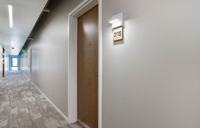 Studio, 1 bath, 445 sqft, $1,195, Unit 205