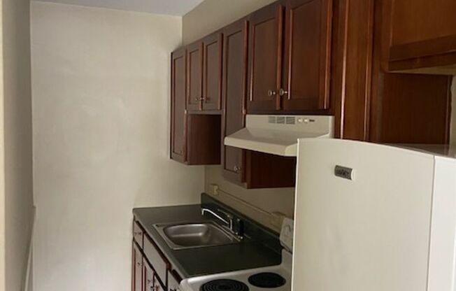 Studio, 1 bath, 300 sqft, $950, Unit 108