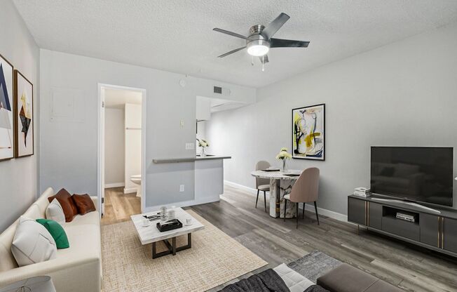 Studio, 1 bath, 350 sqft, $799, Unit 402