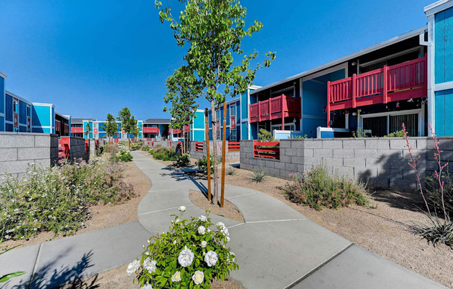A tree with white flowers in the foreground and a building with red railings in the background.