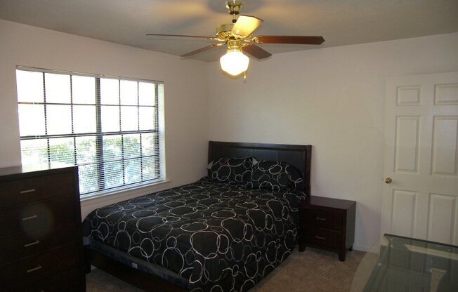 College Station, 3 bedroom / 2 bath fourplex / downstairs / on East Holleman with Washer/Dryer