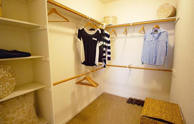 Large Walk-in Closets