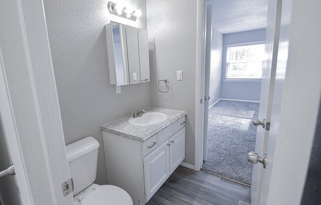 a bathroom with a sink toilet and a mirror