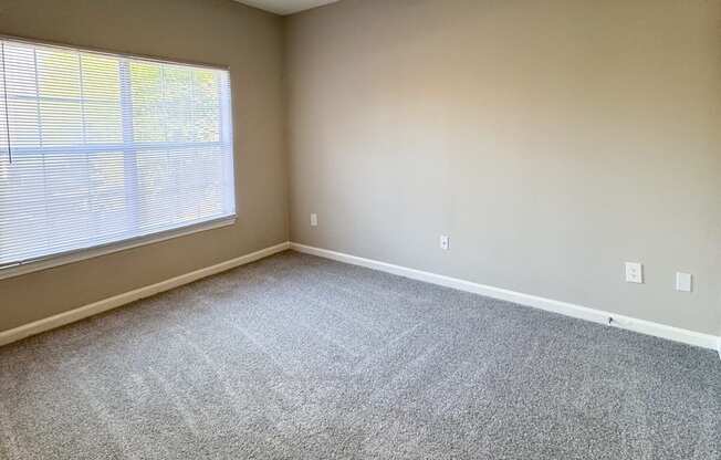 A room with a ceiling fan and carpeted floor.