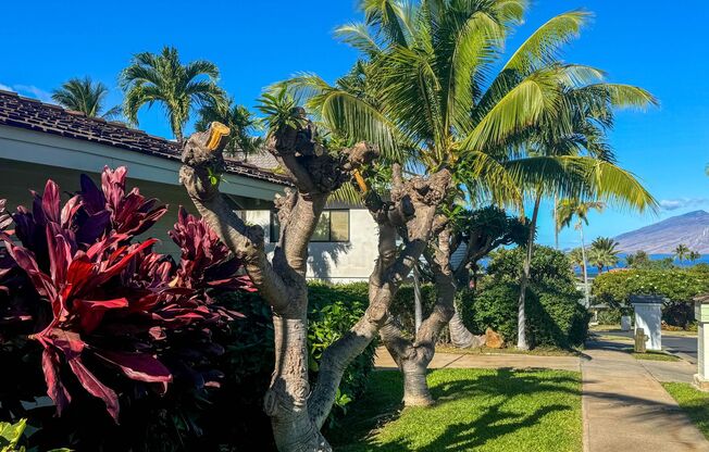 **Charming 3-Bedroom Home in Wailea Gated Community**