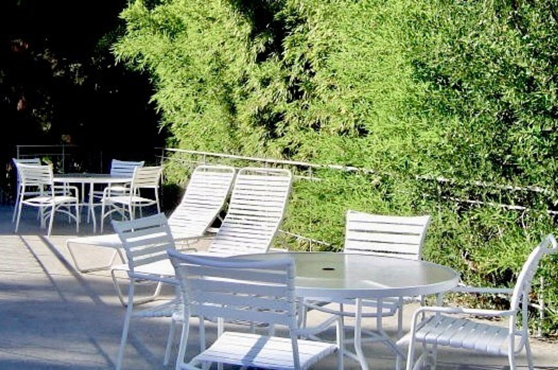 Menlo Park - The Pines Apts - In West Menlo, Close to Shopping, Restaurants, Stanford