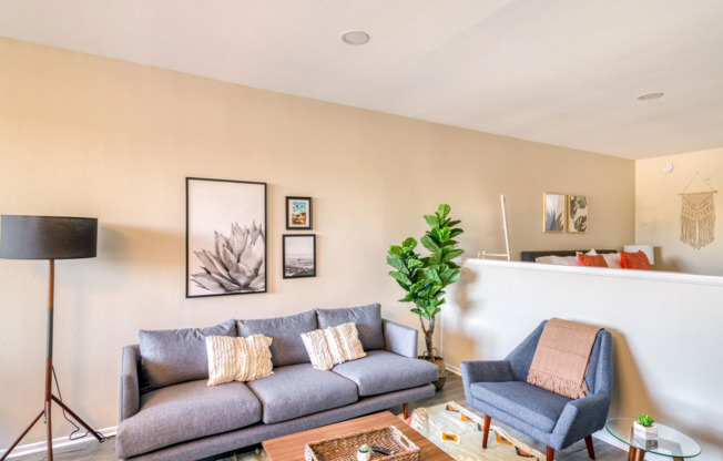 1 bed, 1 bath, 800 sqft, $2,298, Unit 206