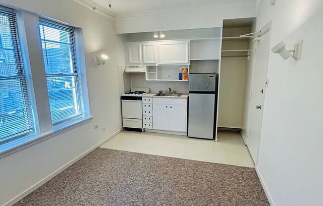 Studio, 1 bath, 241 sqft, $1,230, Unit 209