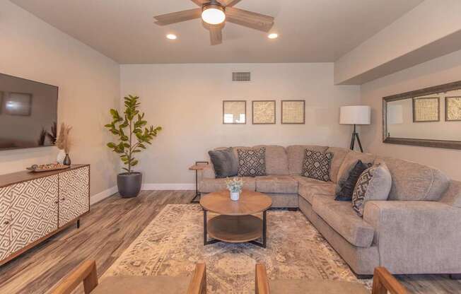 A living room with a grey couch, a coffee table, a plant, and a ceiling fan.
