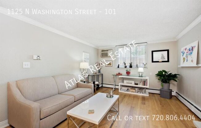 1 bed, 1 bath, 564 sqft, $1,295