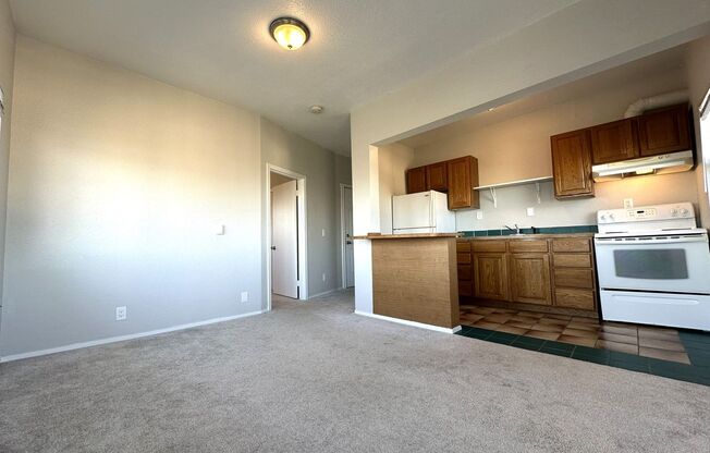 1 bed, 1 bath, 500 sqft, $1,195, Unit Unit 3