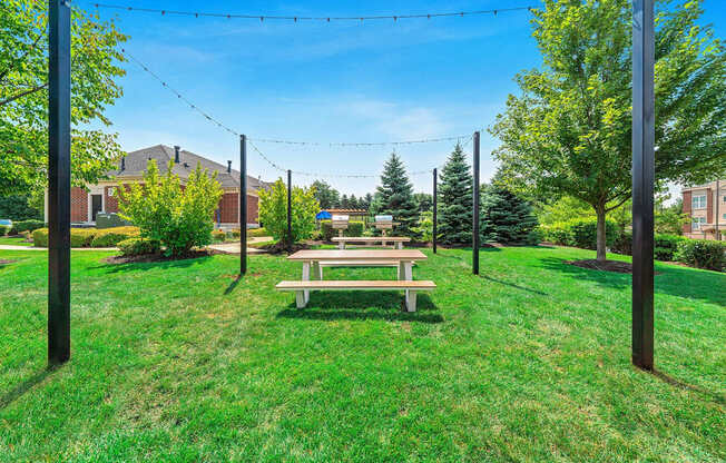 A park with a bench and trees.