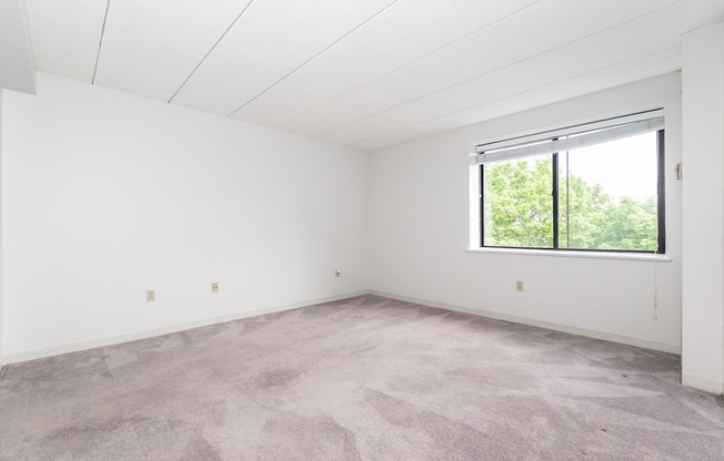2 beds, 2 baths, 1,146 sqft, $3,750, Unit 603