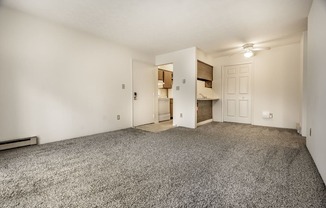 A room with a grey carpet and white walls