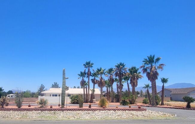 CALVADA VALLEY U5 - China Street